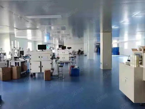 源頭與創(chuàng)新 上海消字號(hào)代加工廠與軟件開發(fā)的雙軌發(fā)展